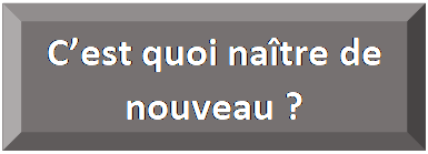 Rectangle&nbsp;: en biseau: C&rsquo;est quoi na&icirc;tre de nouveau ?